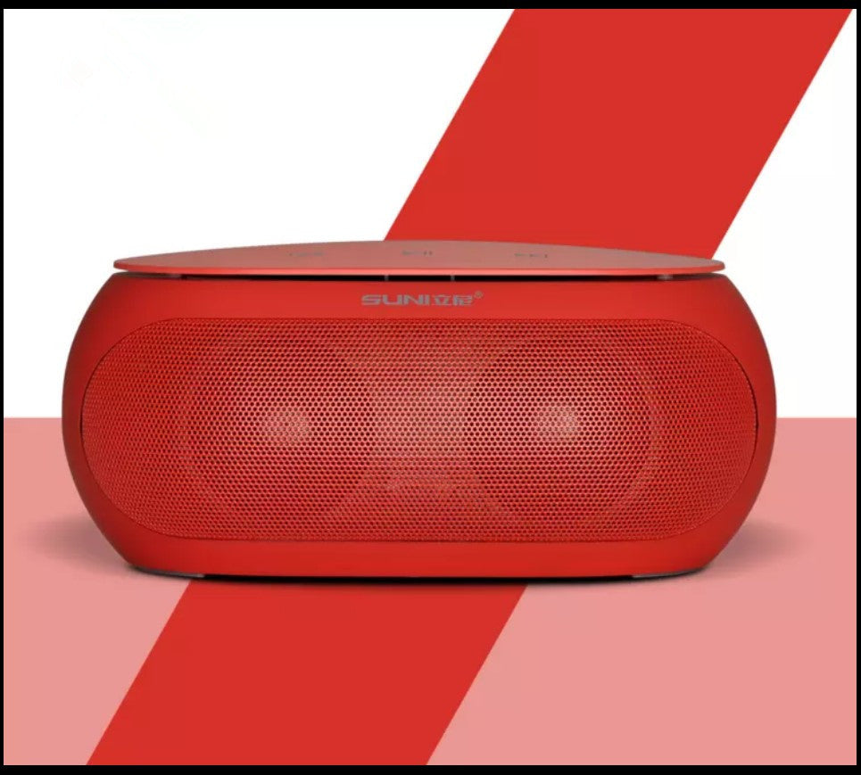 Portable dual speaker