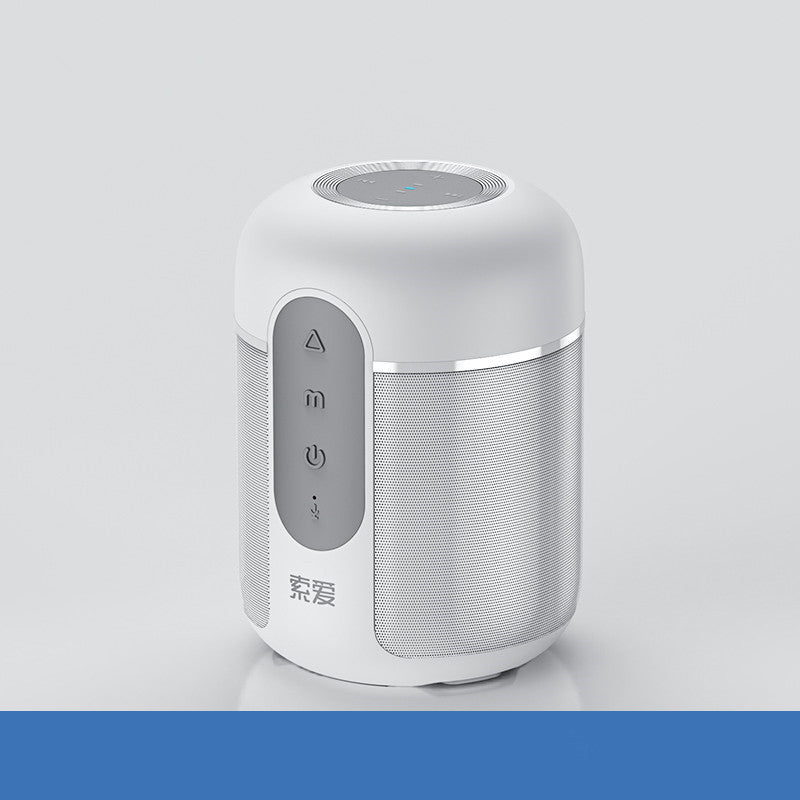 Portable High Volume Speaker