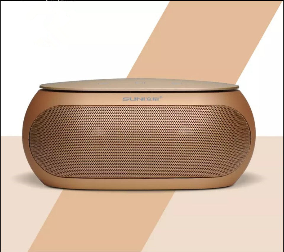 Portable dual speaker